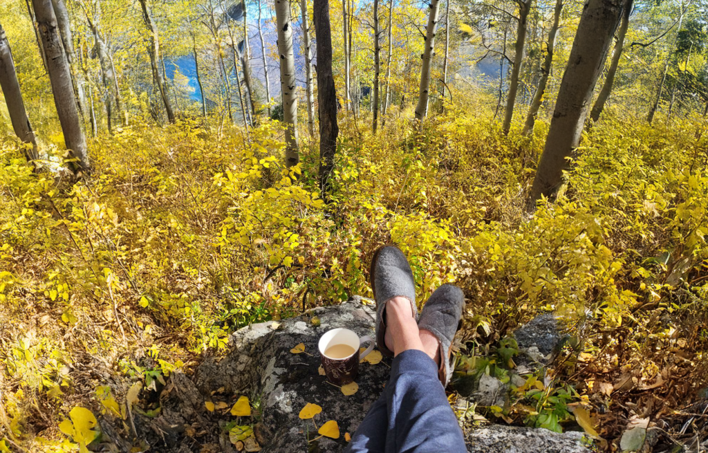 Relaxing in the woods
